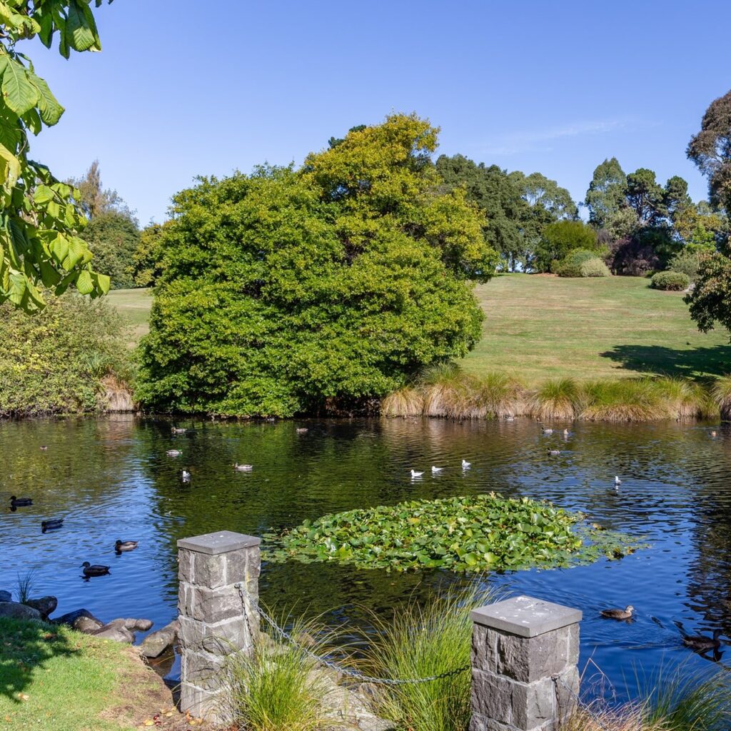 View of the pond at the Timaru Botanic Gardens.